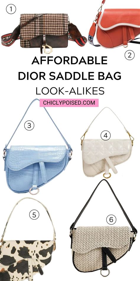 Dior saddle bags look alikes